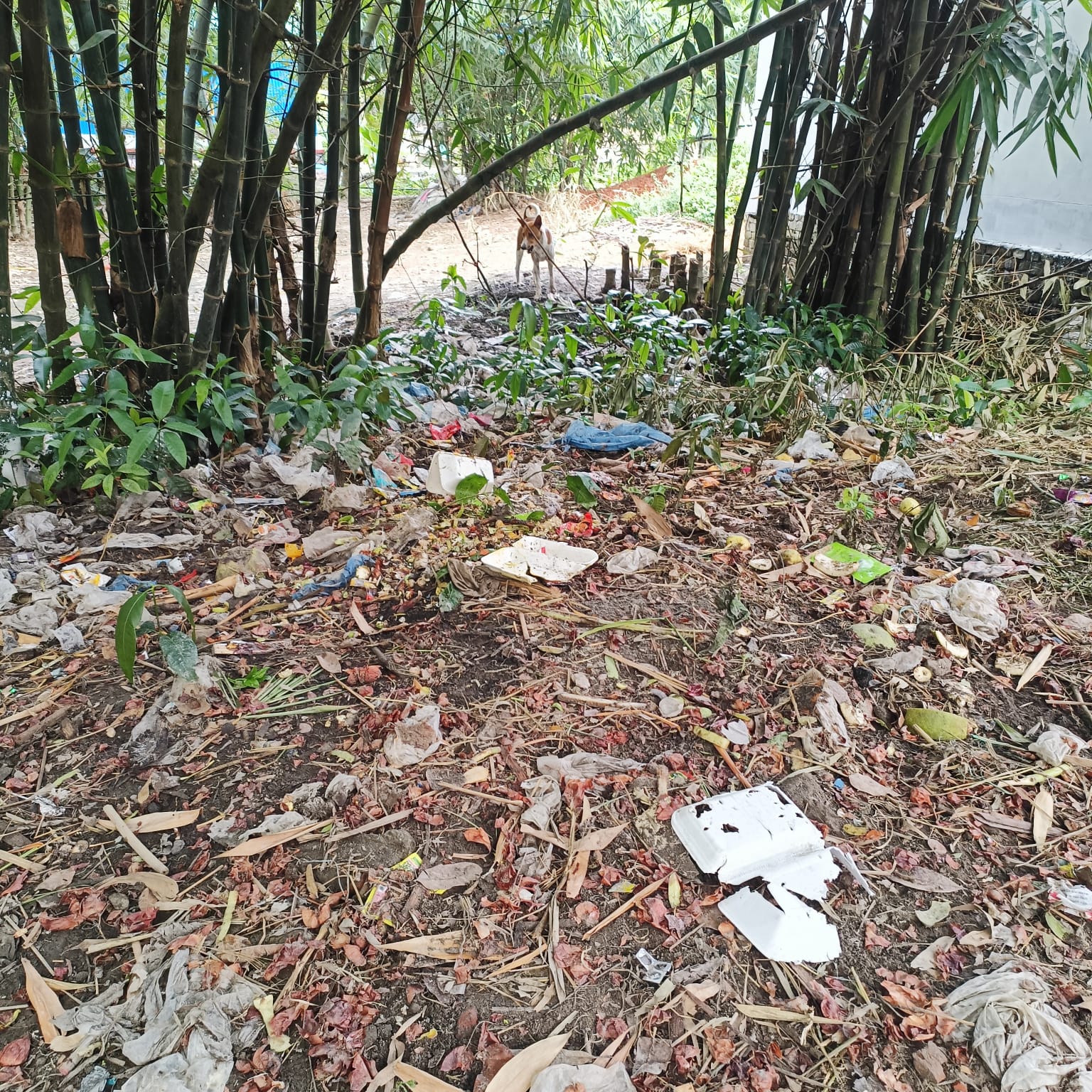 আগের অবস্থা