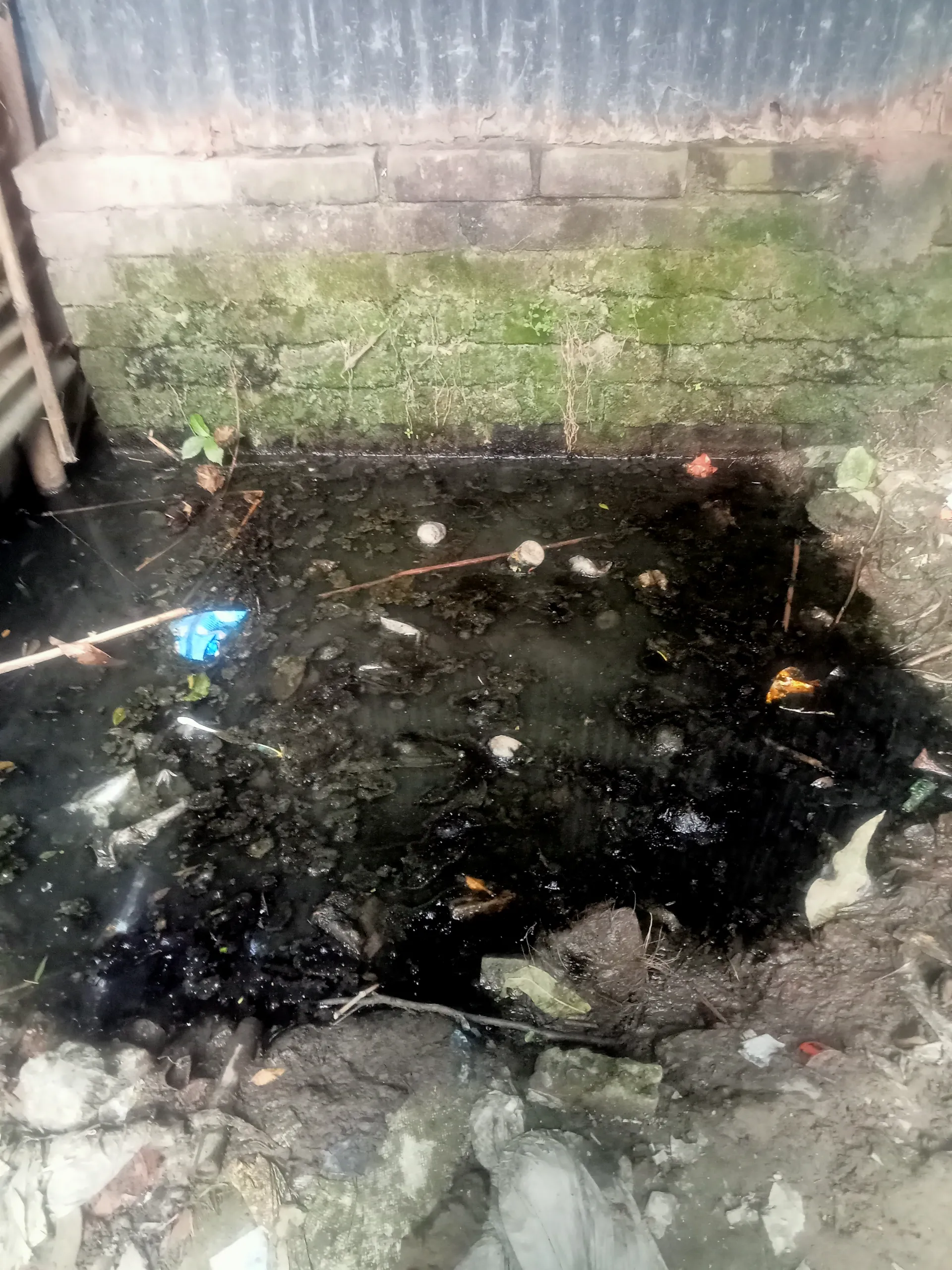 আগের অবস্থা