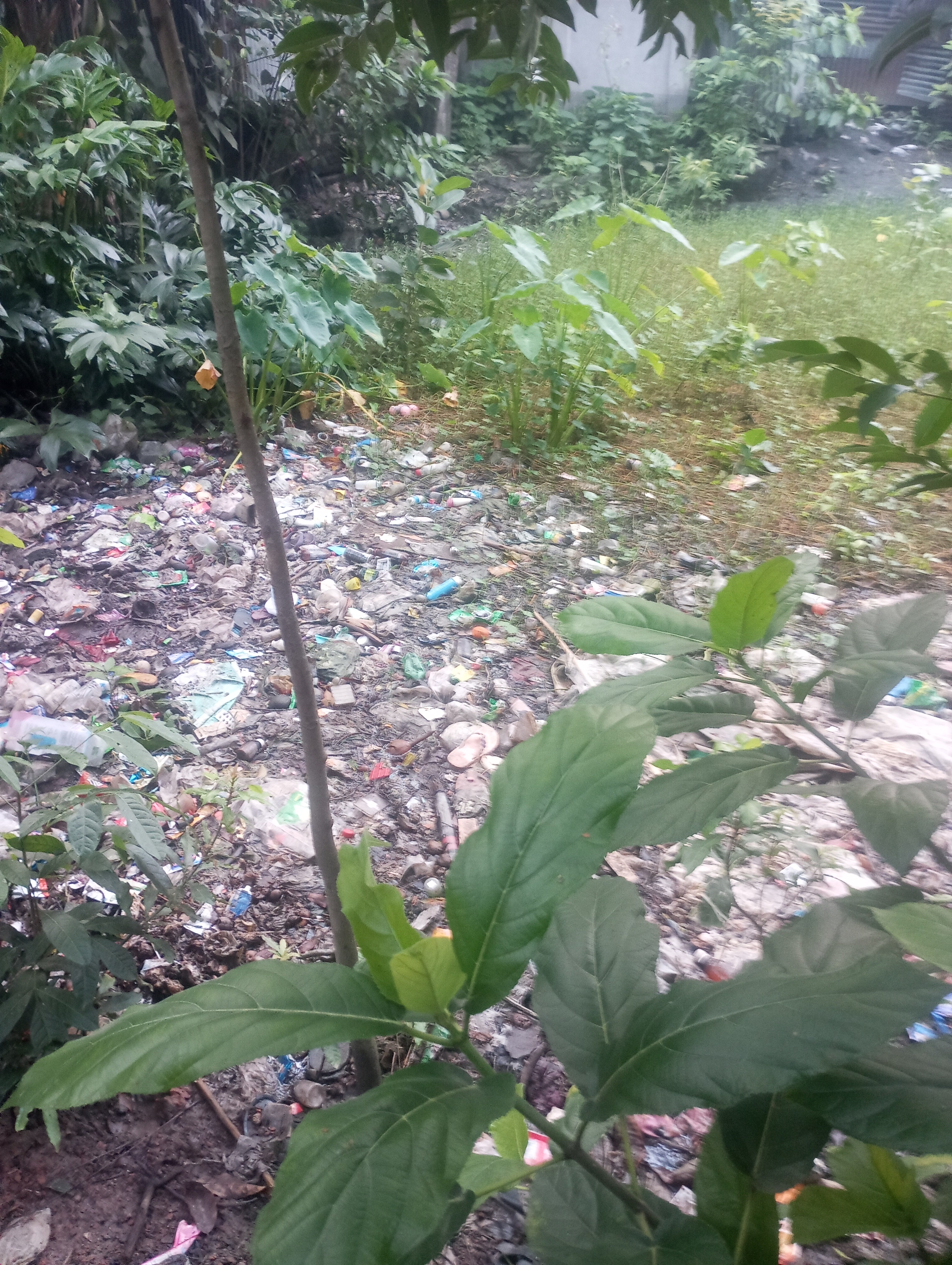 আগের অবস্থা