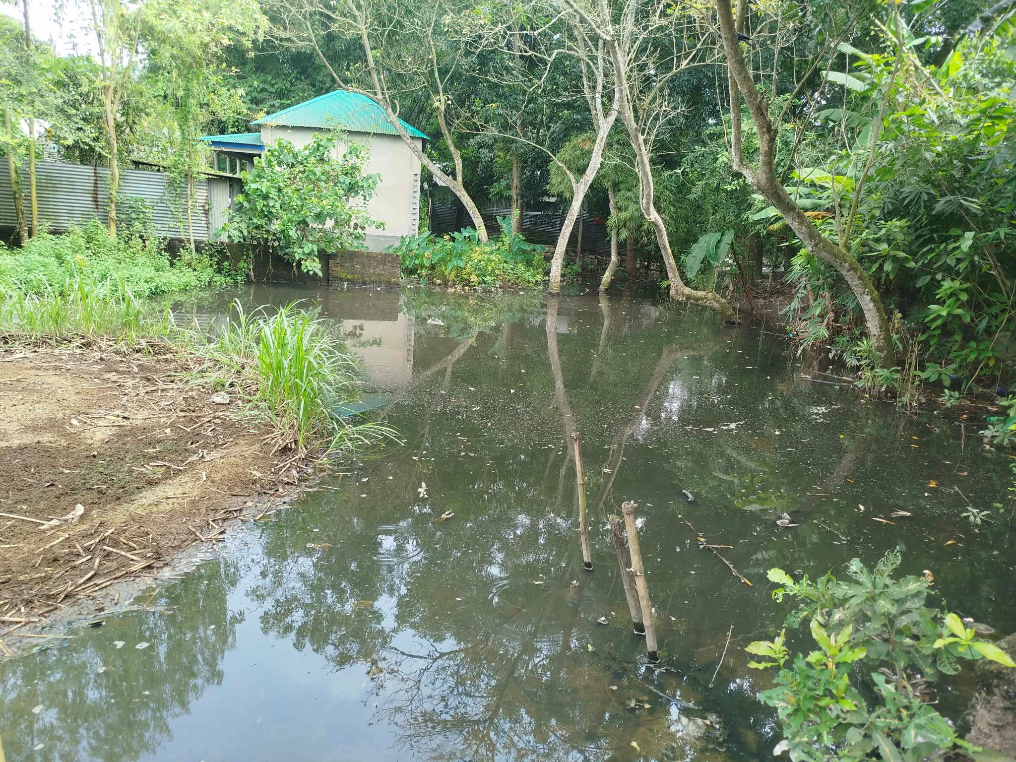 আগের অবস্থা
