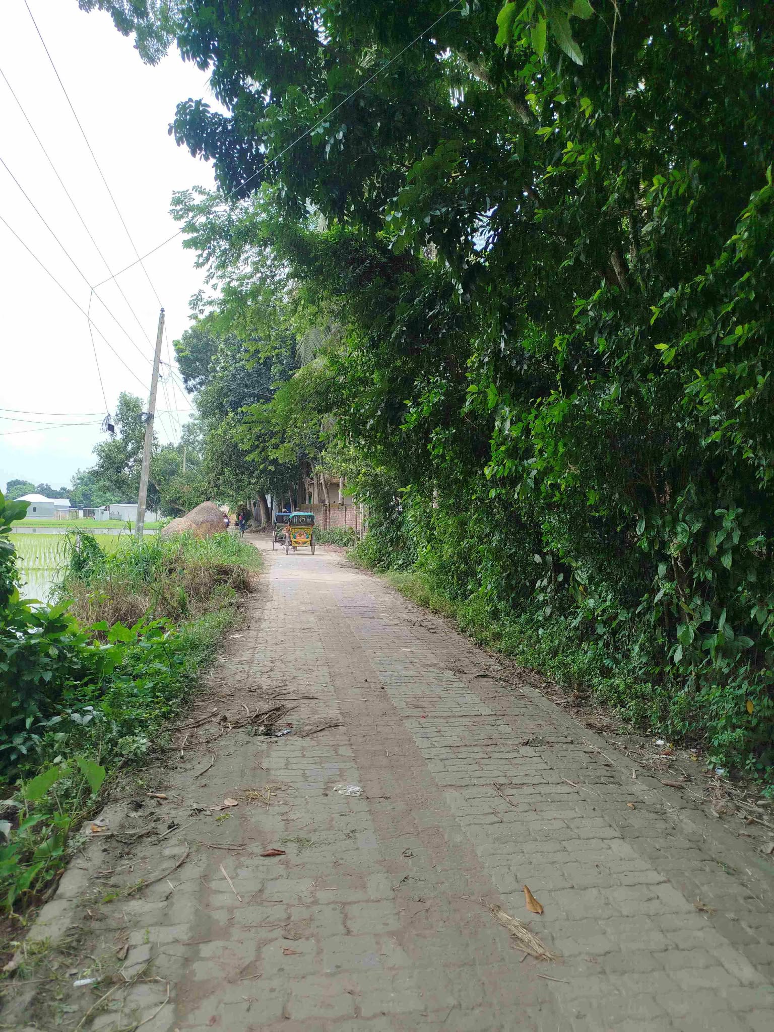 আগের অবস্থা
