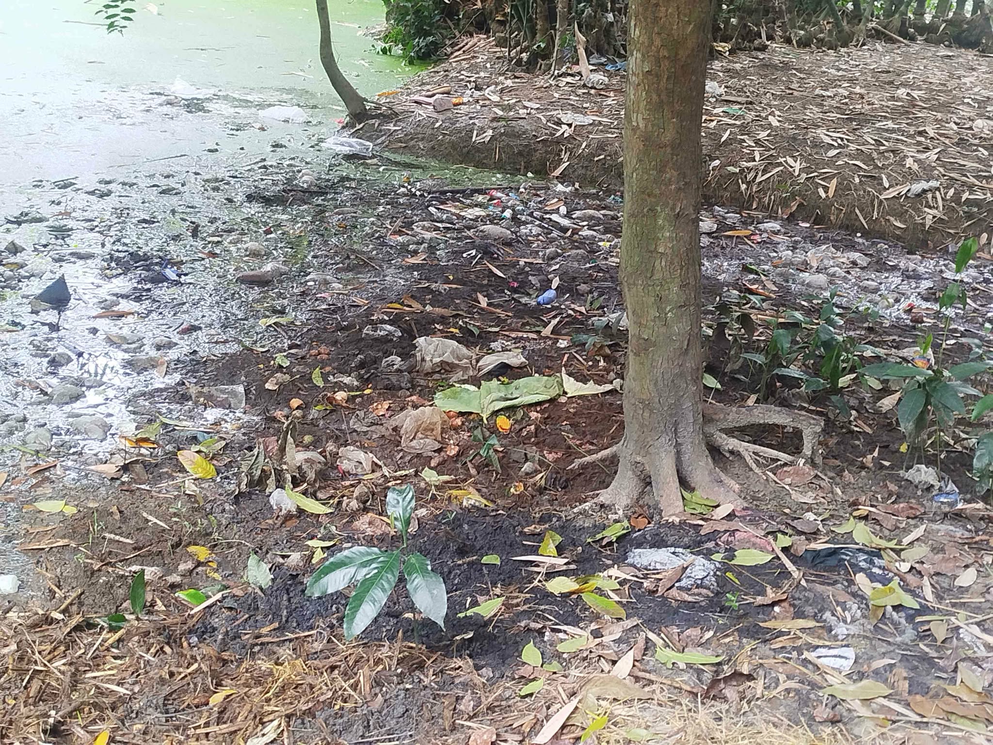 আগের অবস্থা