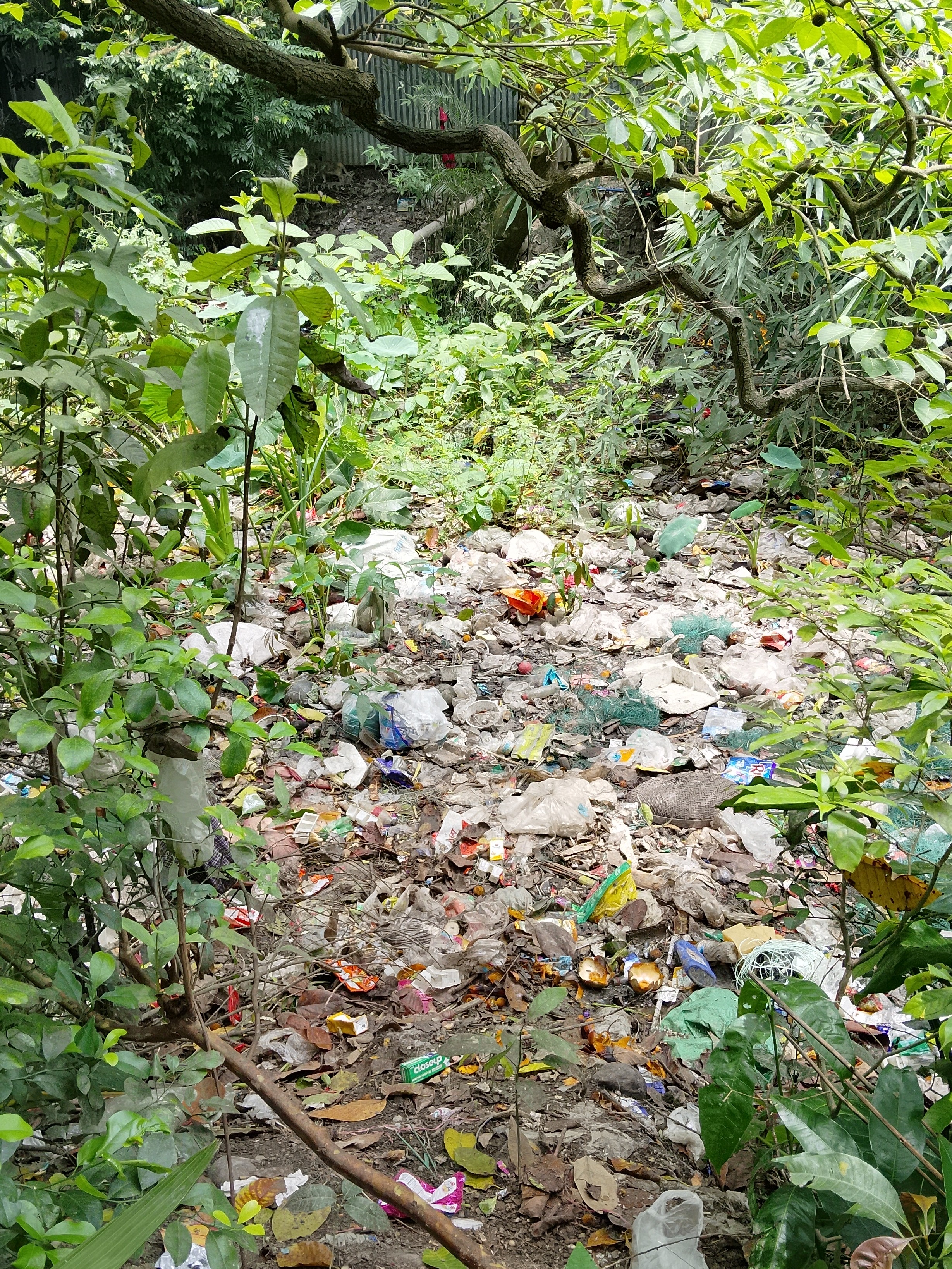 আগের অবস্থা