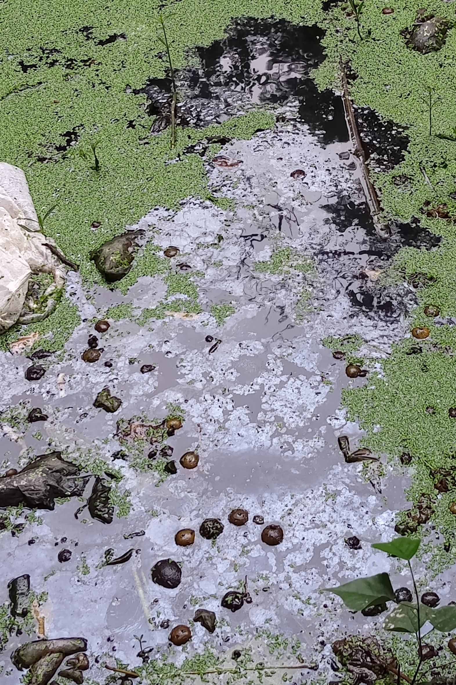 আগের অবস্থা