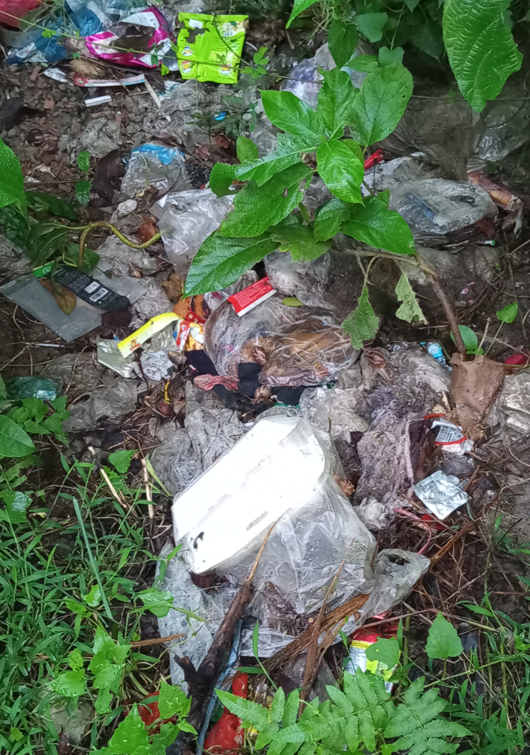 আগের অবস্থা