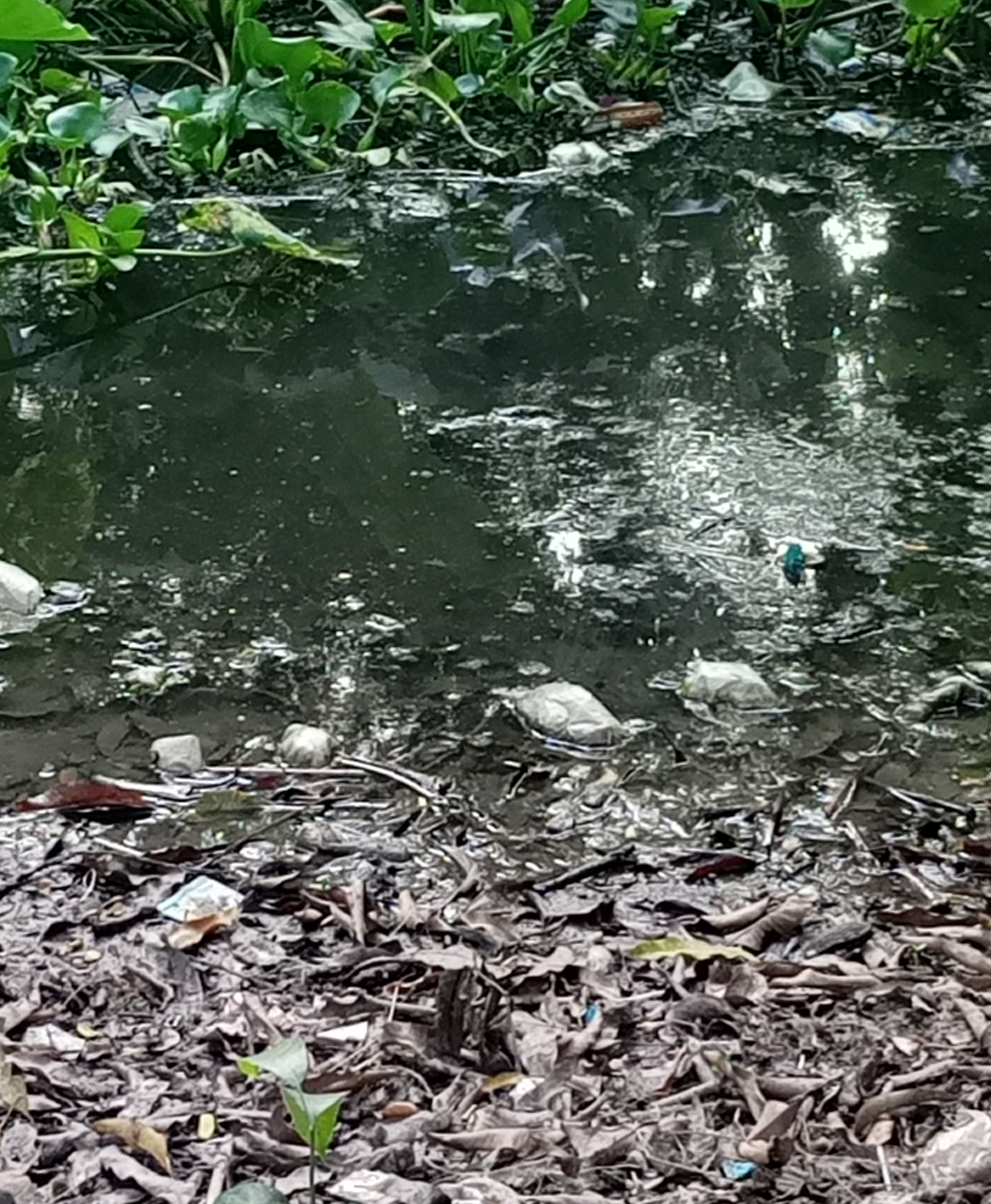 আগের অবস্থা