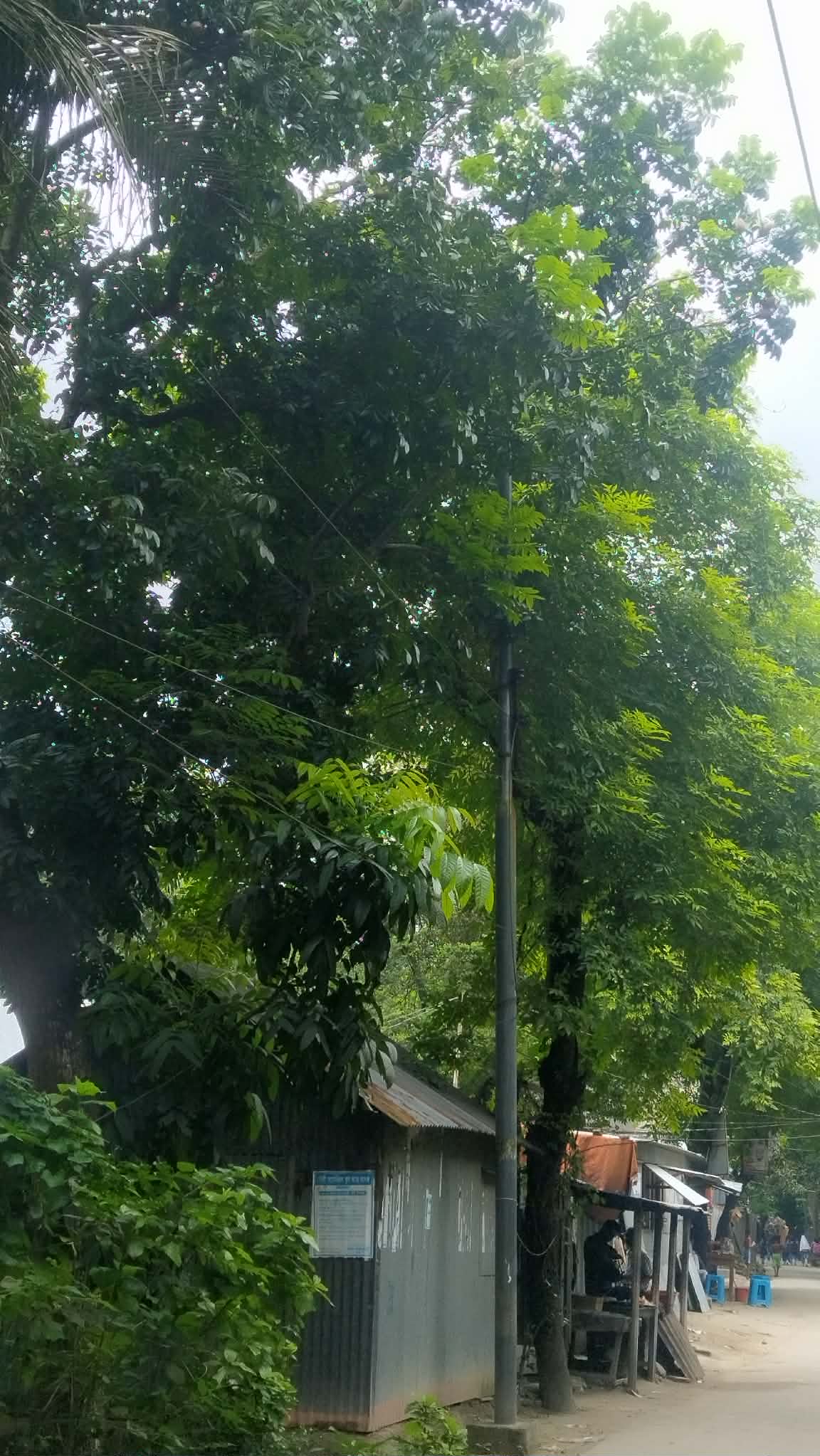 আগের অবস্থা